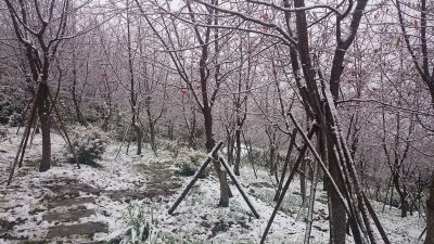 ホテル周辺 ハウステンボスの写真