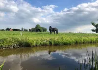 Cottage in Menaam Near Frisian Landscape