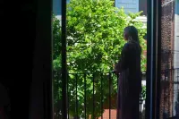 Casa Bougainvillea - Bergblick