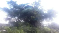 Quarumanu Area