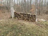 Spacious 3-bedroom house near Nolin Lake/Mammoth Cave, WiFi, Grill, Fire Pit!