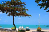 LUX. BEDROOM AND LIVINGROOM. EDF TIME. GREEN POINT