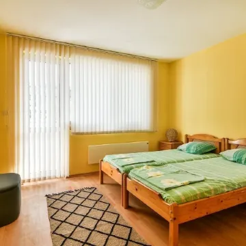 Vacation apartment in the city center