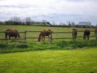 Gite Le St Germin'ay Hotels in Saint-Germain-sur-Ay