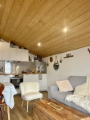 Cosy apartment, mountain view