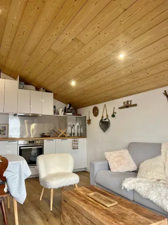 Cosy apartment, mountain view