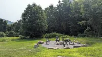 New 4-Bedroom, A-Frame, Ranch Home on Wooded Property Minutes from Lake George