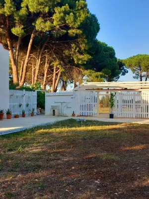 Surrounded by nature, within walking distance of the city