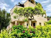 The green corner apartment CIN: IT001156C2C78OUPYJ Hotel a Moncalieri