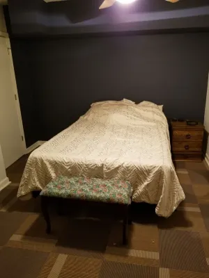 Sisterdog's Apartment