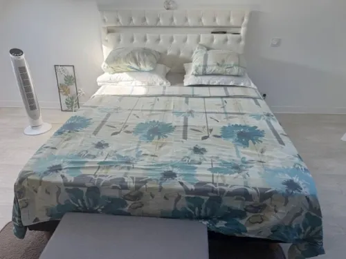 Comfortable apartment 5 mins from Orly airport and 15 mns from Paris!