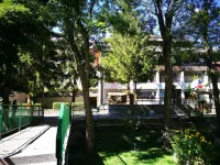 IN THE CENTER but a stone's throw from the woods