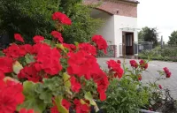 Poppy vacation apartment Coswig 호텔