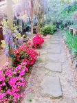 TRANQUIL MASTER SUITE studio with PRIVATE ENTRANCE in charming Fairfax
