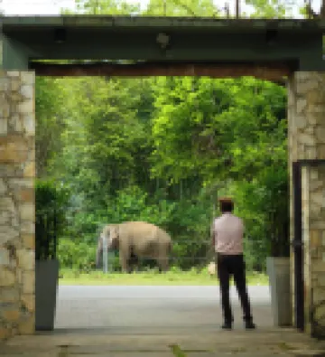 Elephant Trail Hotels in 