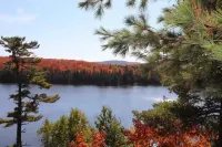 Caribou Sunrise, Lakeside Cabin in the Northwoods!