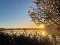 In Sologne, family home with garden near Chambord castle and forests Hotels in Bracieux