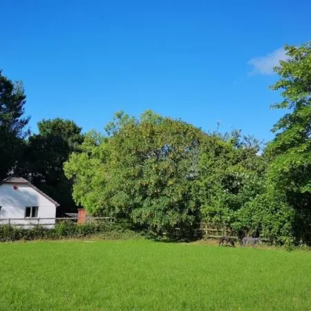 Pine Croft Cottage - sleeps 4, tucked away in the woodland, 5 minutes from beach