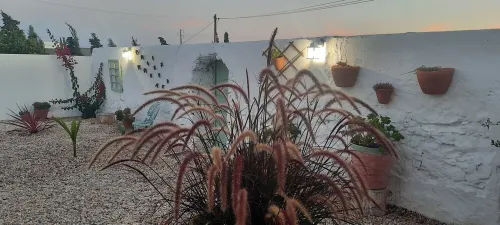 Alice's House, Private Pool, 7 km from Beach Hotels in Alcobaça