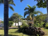 Magnificent villa with swimming pool