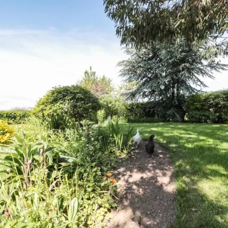 Cottage in Thirsk near Scenic Trails