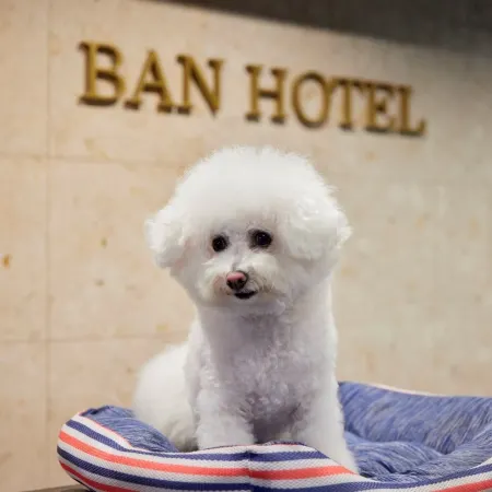 Ban Hotel Tsukiji Ginza Отели рядом с достопримечательностью «Цукидзи»