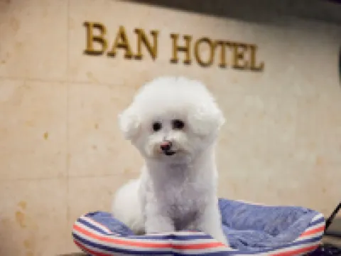 BAN HOTEL バンホテル築地銀座 築地周辺のホテル