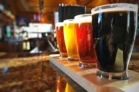 Norfolk Lodge & Suites, Ascend Hotel Collection - Bar