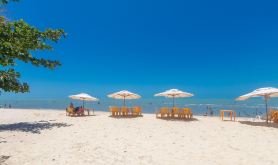 Apts in a Condo With Barbecue and Pool in the Best Location of Arraial D'ajuda Dvbs