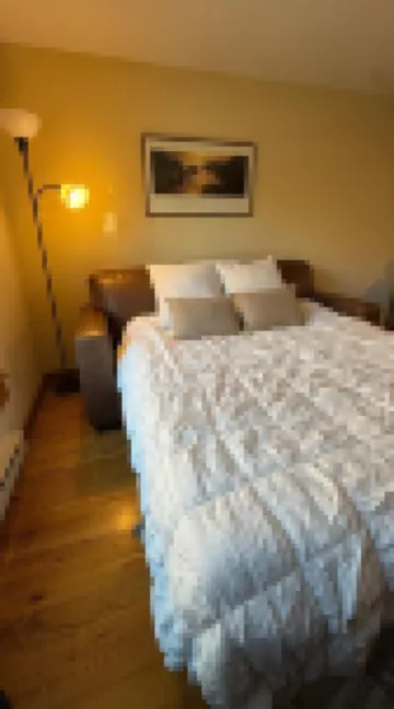 Wonderful Condo in Scenic Downtown Jackson Hole!