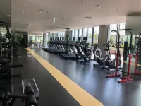 celebrity stay - palestra