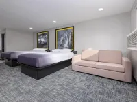 Super 8 by Wyndham Lubbock Airport Hotel di Lubbock