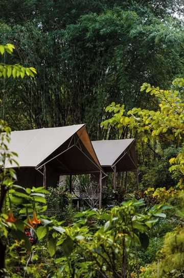 รูปภาพของวิศามา เอ็กซ์พลอเรอร์ น่าน