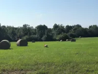 Fully Furnished Two Bedroom Farm House, "The Little House" Has Everything !