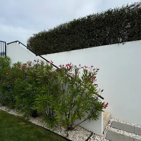 Charming 3-Bedroom Villa with Private Pool in Óbidos