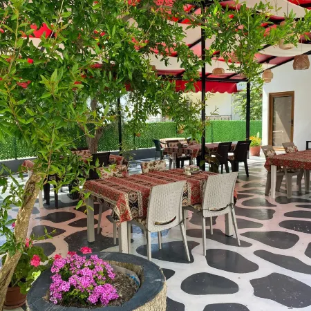 Olive House Hotel