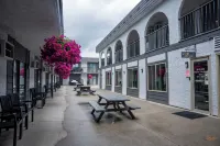 Courtyard Inn Vernon