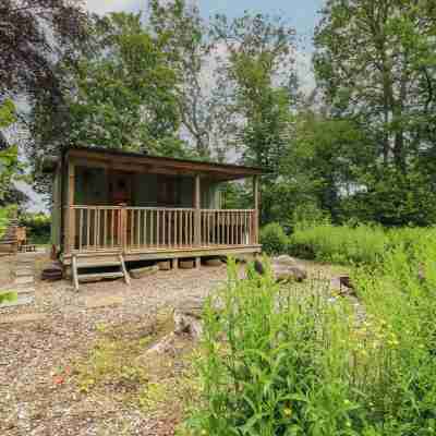 Bracken Fern Rooms