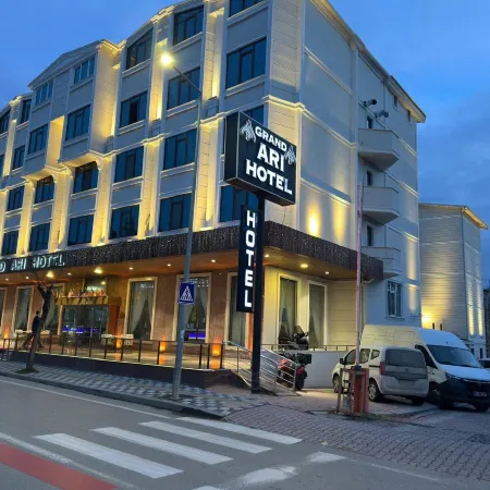 Afyon Grand Arı Hotel