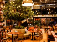 Holiday Inn KAYSERI - DUVENONU by IHG - Bares