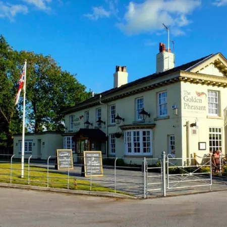 The Golden Pheasant