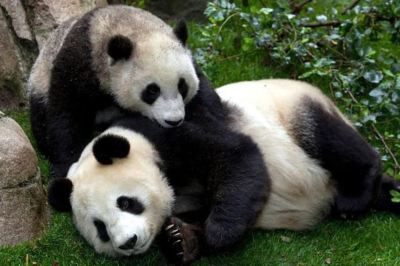 Other #1 Location - Fast Wifi - Work Area - 2Br/2.5 Bath - Free Parking (FV1) Photo