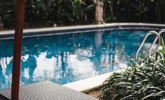 a large swimming pool surrounded by lush greenery , with several lounge chairs placed around it at Ubud Hotel & Cottages