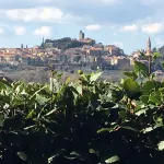 Agriturismo Borgo Santa Lucia, Villa Mimosa