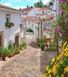Dom Dinis Marvão Hotels in Ribeira de Nisa