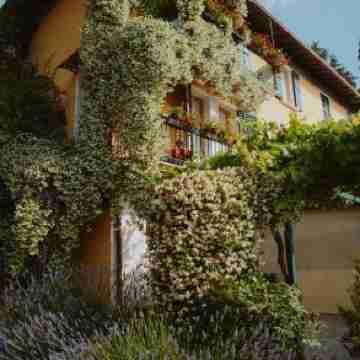 Villa Schindler Hotel Exterior