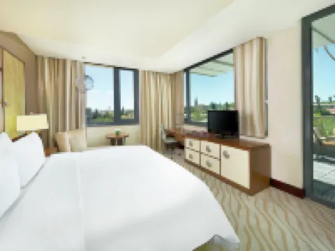 ヒルトン ウィントフーク ウィントフークのホテル