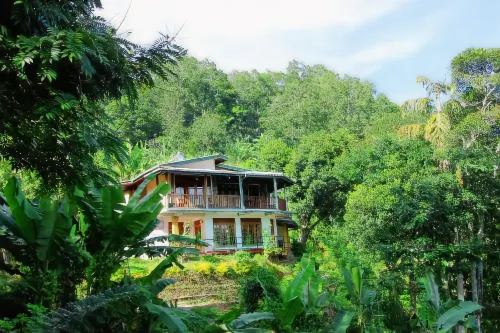 Blue Ribbon Homestay - Bed and breakfast