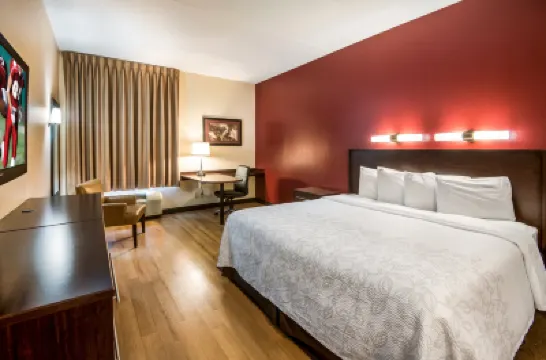 レッド ルーフ イン プラス+ サウス ディアフィールド – アマースト のホテル