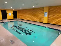 希爾頓尤金研究生酒店 - 泳池